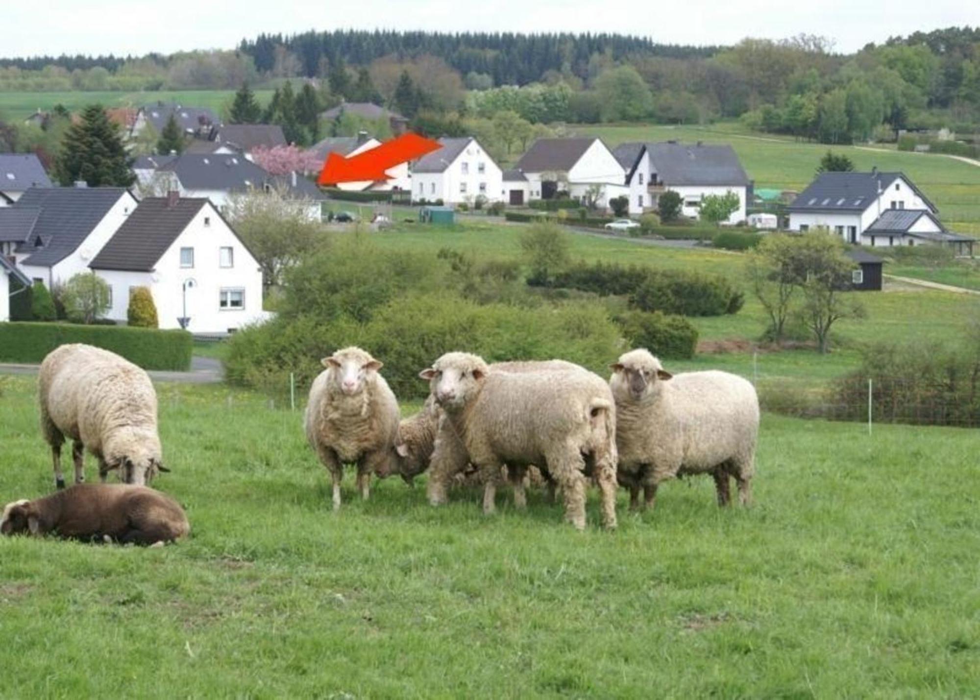 Gemuetliche Maisonette Wohnung Seelenblick Berndorf  Bagian luar foto